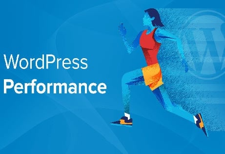 JoeWP WordPress Agentur - WordPress Performance Modul