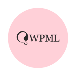 WordPress Agency JoeWP - WPML Partner